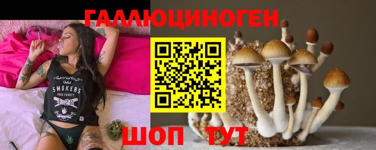 Красногорск  Псилоцибиновые грибы ЛСД  Вход с VPN 